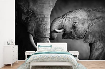 Behang - Fotobehang Wilde dieren - Olifant - Zwart - Wit - Portret - Breedte 360 cm x hoogte 240 cm