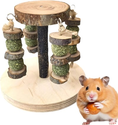 Knaagdier Speelgoed - Houten Speelset - Tanden Onderhoud - Natuurlijke Materialen - 19.5 cm Lengte - Natuurlijk