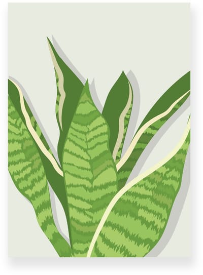 Poster 20x30 cm - Sansevieria - Planten - Groen - Beige - Botanisch - Minimalistisch - Muurdecoratie - Wanddecoratie