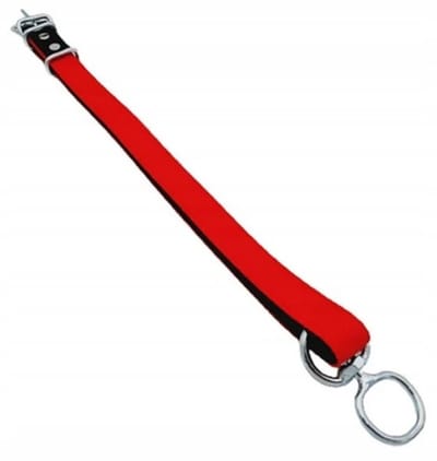 Toro - Halsband voor Kalveren - 100 cm - Verzinkt - Sterk En Duurzaam