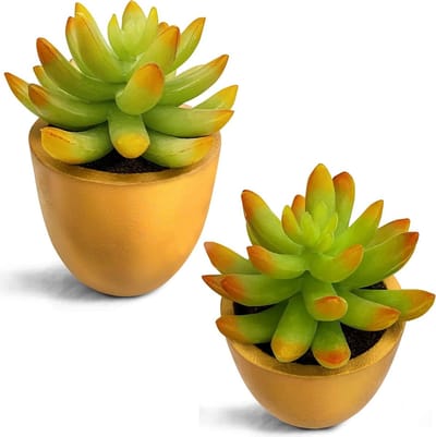 Lifelike Mini Kunstplanten van Plastic Succulenten met Gouden Potten voor Thuis, Toilet en Kantoor Decoratie (2 Stuks)