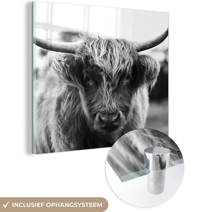 MuchoWow® Glasschilderij 90x90 cm - Schilderij acrylglas - Schotse Hooglander - Koe - Gras - Dieren - Natuur - Foto op glas - Schilderijen