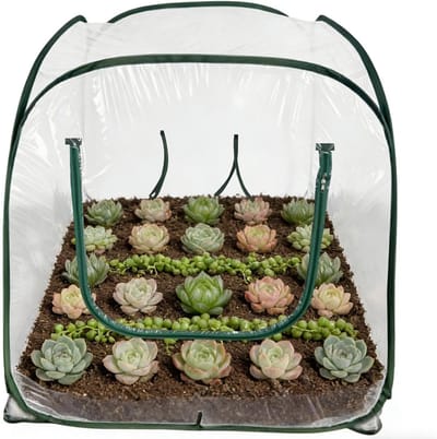 Mini Kas - Planten Tent - Bescherming Planten - Opvouwbaar Design - 98x98x98cm - Transparant