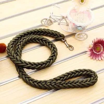 1,37 m Zware Grote Hond Leash Duurzaam Gevlochten Nylon Lijn Voor Kleine Middelgrote Grote Honden Wandelen Jagen Kamperen Huisdier Accessoires (Army green,S width 1.0CM) legergroene kleur