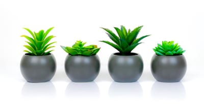 Atmosphera Kunstplanten in Pot - Grijs Rond - Set van 4 - Voor Binnen - Klein - Nep plant - Succulent - Wonen & Decoratie - Interieur - Keuken - Badkamer - Woonkamer