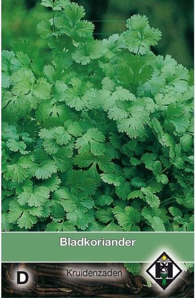 Van Hemert - Bladkoriander zaden