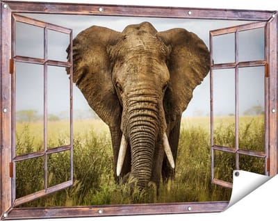 Gards Tuinposter Doorkijk Olifant in het Wild - Kleur - 120x80 cm - Tuindoek - Tuindecoratie - Wanddecoratie buiten - Tuinschilderij