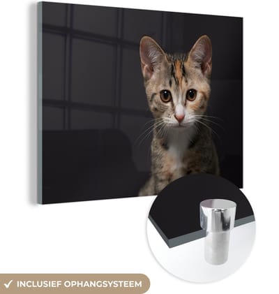 MuchoWow® Glasschilderij 160x120 cm - Schilderij acrylglas - Kat - Zwart - Portret - Foto op glas - Schilderijen