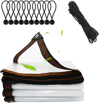 Dailygoods - Waterdicht transparant zeil met ogen, afdekzeil doorzichtig, afdekzeil transparant tentzeil waterdicht, zeil doorzichtig voor kas, tuinzeil buiten, camping, balkon (3X2M)