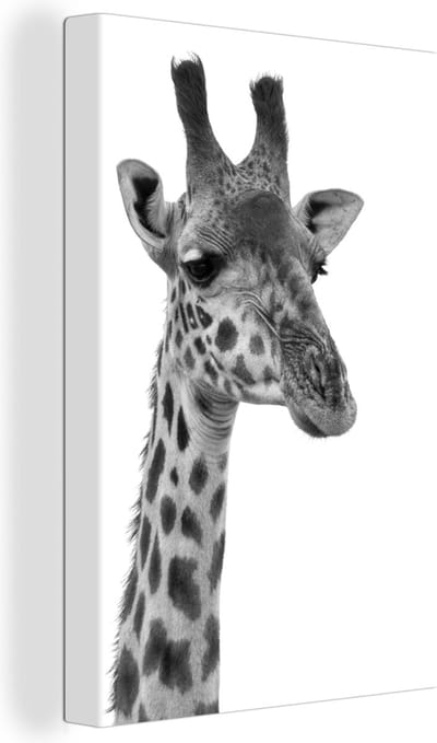 Canvas Schilderij Portret van een giraffe - zwart wit - 40x60 cm - Wanddecoratie