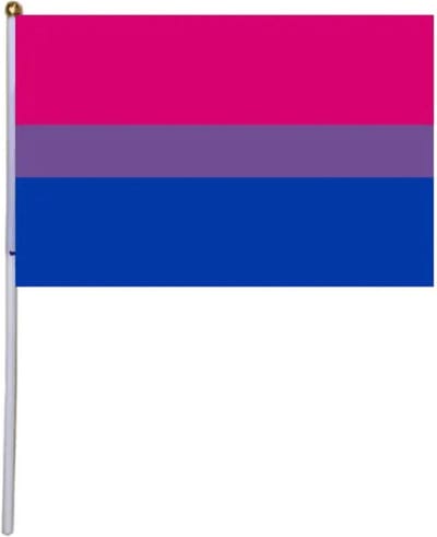 Akyol - biseksueel vlag - 5 stuks zwaai vlaggetjes - Pride vlag- Gay - lesbian - trans - cadeau - kado - geschenk - gift - verjaardag - feestdag – verassing – pride – respect – ecual – gelijk – lgbt – bi -regenboog vlag