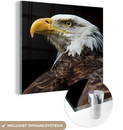 MuchoWow® Glasschilderij 50x50 cm - Schilderij acrylglas - Adelaar - Vogel - Ogen - Snavel - Foto op glas - Schilderijen