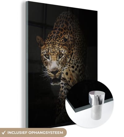 MuchoWow® Glasschilderij 90x120 cm - Schilderij acrylglas - Luipaard - Wilde dieren - Licht - Foto op glas - Schilderijen