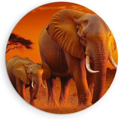 Saammp Muurcirkel Hout - Olifant met kalf in zonsondergang - Afrika - Dieren - Ø 90 - Wandcirkel - Wanddecoratie Cirkel - muurdecoratie Woonkamer - Slaapkamer decoratie - Rond Schilderij