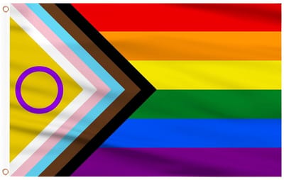Progress Pride Vlag 1.5m x 90cm Dubbelzijdig met Koperen Oogjes voor Pride Evenementen