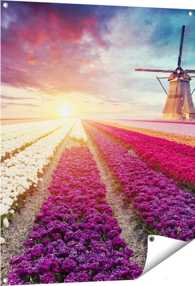 Gards Tuinposter Kleurrijke Tulpen Bloemenveld - Windmolen - 80x100 cm - Tuindoek - Tuindecoratie - Wanddecoratie buiten - Tuinschilderij