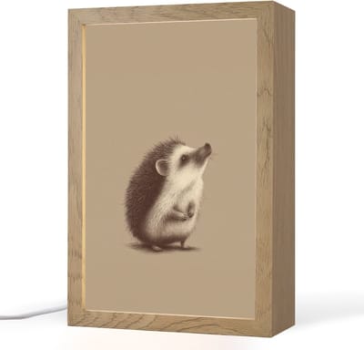 Nachtlampje 20x30 cm - Kinder lampje - Egel - Snuitje - Bruin - Stekels - Tafellamp kinderkamer - Slaapkamer lamp - Bedlamp kinderen - Kinderlampje stopcontact - Wandlamp babykamer - Nachtlampjes