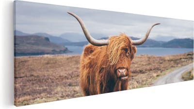Artaza Canvas Schilderij Hooglander - 60x20 cm - Muurdecoratie Schotse Hooglander - Wanddecoratie Dieren - Kamer Accessoires