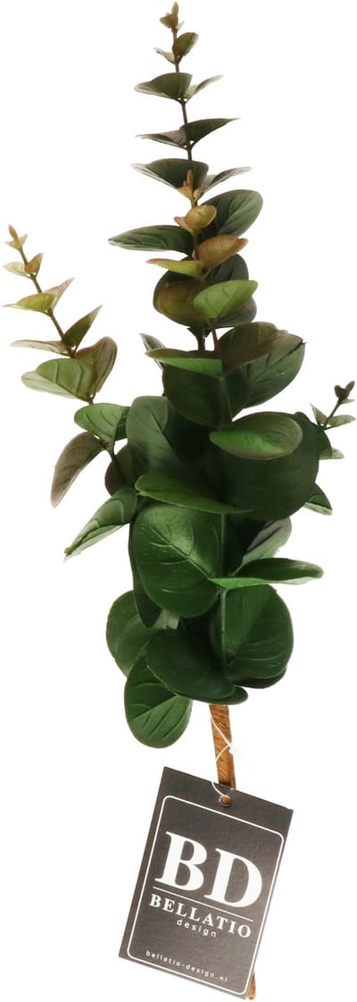 Bellatio Design Kunstplant takken Eucalyptus Bella - 38 cm - groen - decoratie bladgroen