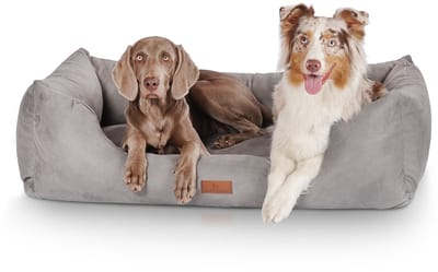 Knuffelwuff Hondenbed Dreamline van velours XXL 120 x 85cm grijs