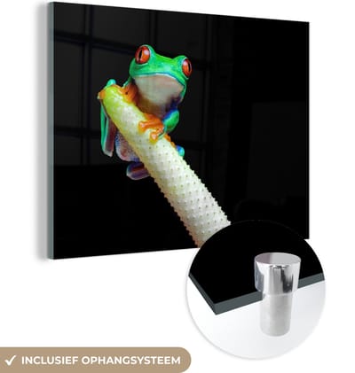 MuchoWow® Glasschilderij 160x120 cm - Schilderij acrylglas - Kikker - Dieren - Plant - Foto op glas - Schilderijen