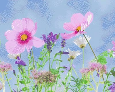 MyHobby Borduurpakket – Bloemen in het wild 50×40 cm - Aida borduurstof 5,5 kruisjes/cm (14 count) - Telpatroon - Borduurgaren - Borduurnaald - Handleiding - Voor Beginners & Gevorderden - Complete borduurset