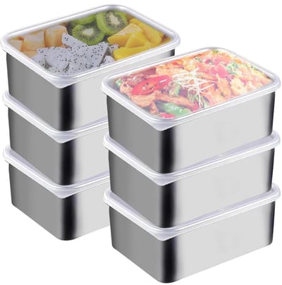 Dailygoods- Vleeswarendozen 6 Stuks - Roestvrij Stalen Container met Deksel - Vriesdoos - Stapelbare Doos - Maaltijdprep Dozen - 13,8 x 5,7 x 10,8 cm - Voedselopslag