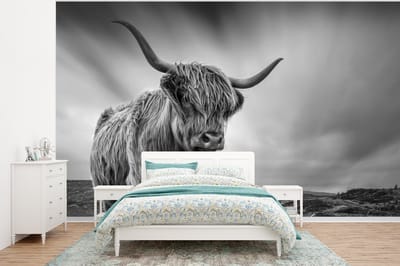 Behang - Fotobehang Koeien - Schotse hooglander - Natuur - Dieren - Zwart wit - Breedte 295 cm x hoogte 220 cm