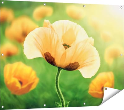 Gards Tuinposter Oranje Klaproos Bloemen - 120x90 cm - Tuindoek - Tuindecoratie - Wanddecoratie buiten - Tuinschilderij