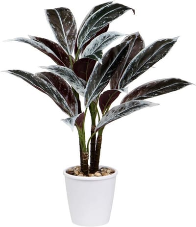 Kunstplant Cordyline Fruticosa 63 cm - Grote Decoratie voor Binnen en Buiten, Modern voor Woonkamer, Badkamer en Balkon