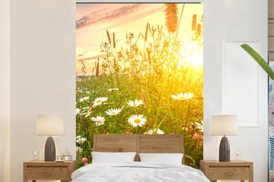 Behang - Fotobehang Bloemen - Madelief - Natuur - Zon - Horizon - Breedte 145 cm x hoogte 220 cm