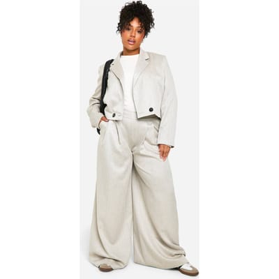 boohoo Dames Plus Getextureerde Plooiboek Voorkant Extreme Wijde Pijpbroek | Grey | Maat: 16