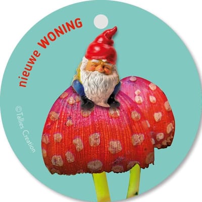 Tallies Cards - kadokaartjes  - bloemenkaartjes - Nieuwe woning - Flowerpower - set van 5 kaarten - verhuiskaart - huis - verhuizen - woning - samenwonen - 100% Duurzaam
