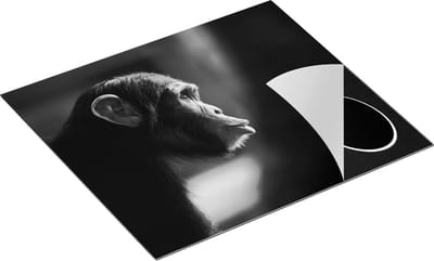 Chefcare Inductie Beschermer Verbaasde Aap vanaf de Zijkant - Zwart Wit - 60x50 cm - Afdekplaat Inductie - Kookplaat Beschermer - Inductie Mat