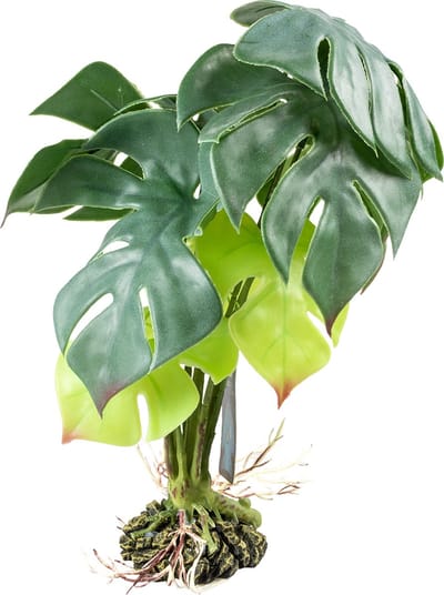 Terra Della - Aquariumdecoratie - Reptielen - Monstera M - 20x20x35cm Groen - 1st