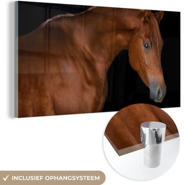 MuchoWow® Glasschilderij 40x20 cm - Schilderij acrylglas - Paard - Oog - Bruin - Foto op glas - Schilderijen
