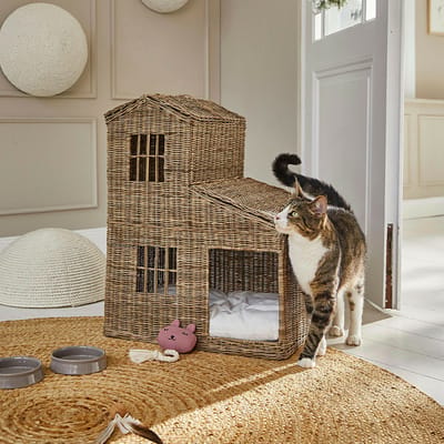Kattenhuisje Ravnda