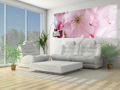 Flowers Blossoms Nature Pink Photo Wallcovering