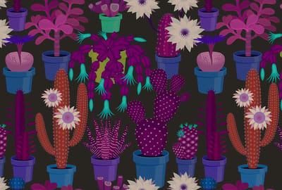Fotobehang cactus garden1 DD114142 Livingwalls Walls by Patel | Goedkoop fotobehang