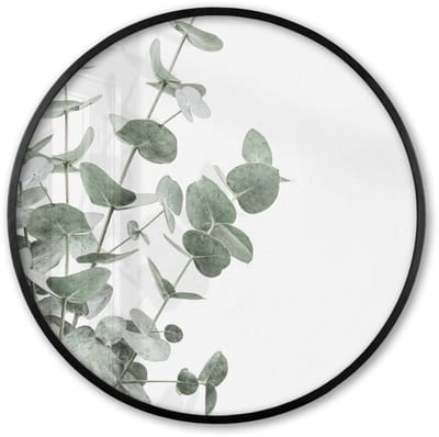 Poster in lijst Rond - Fotolijst 60x60 cm - Posters - Eucalyptus - Bladeren - Natuur - Groen - Ronde posterlijst zwart - Decoratie - Wanddecoratie woonkamer - Muurdecoratie slaapkamer