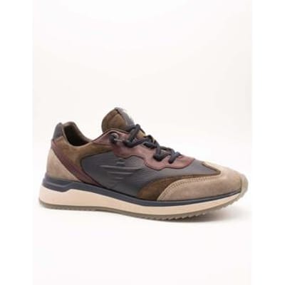 Lage Sneakers Cetti C-1429