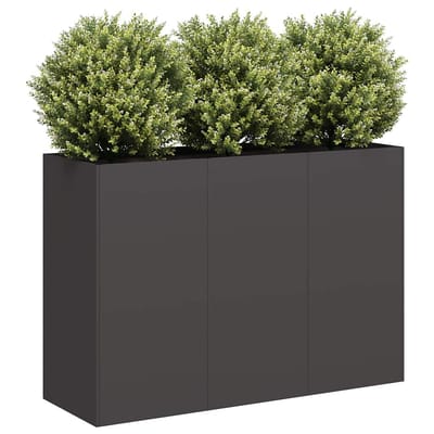 vidaXL - Plantenbak - 120x40x80 - cm - koudgewalst - staal - zwart