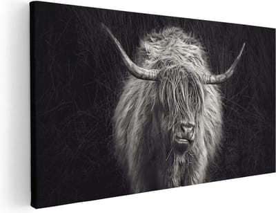 Artaza Canvas Schilderij Schotse Hooglander - 40x20 cm - Klein - Wanddecoratie Woonkamer - Muurdecoratie Dieren - Zwart Wit