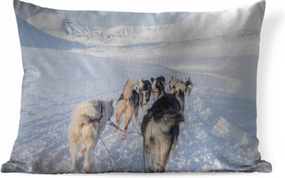 Sierkussens - Kussen - Husky's trekken hondenslee - 60x40 cm - Kussen van katoen