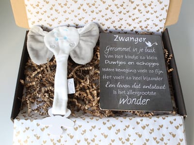 Brievenbus cadeau Olifant - cadeau zwangerschap - cadeau baby - knuffeldoek - kraamcadeau