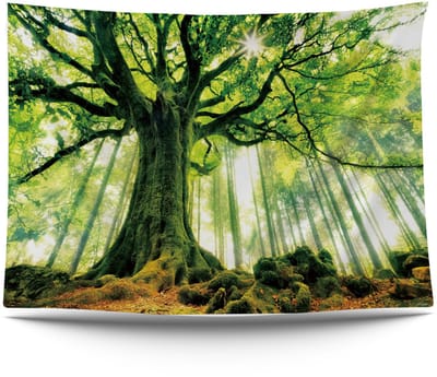 Ulticool Wandkleed 200x150 cm – Boom Natuur Bos Regenwoud – Met Bevestigingspinnen - voor Binnen / Buiten - Tuinposter Wandtapijt Decoratie Posters Groen