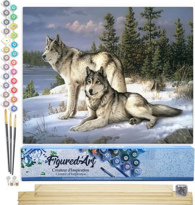 Figured'Art Schilderen op Nummer Volwassenen canvas Wolfspaar - Handwerk acrylverf Kit DIY Compleet - 40x50cm met DIY houten lijst