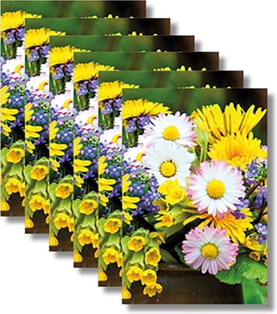 6x dubbele wenskaart met envelop - Blanco - Bloemen - 11,5 x 17 cm
