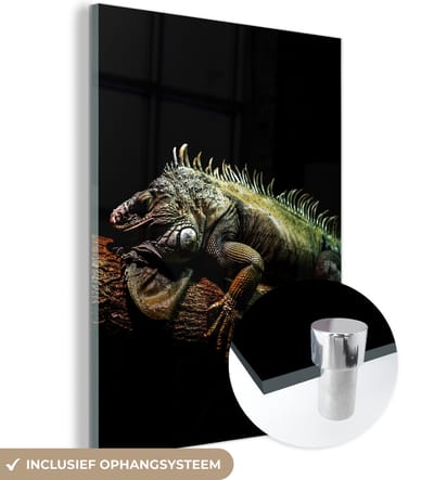 MuchoWow® Glasschilderij 120x160 cm - Schilderij acrylglas - Dier - Tak - Zwart - Foto op glas - Schilderijen