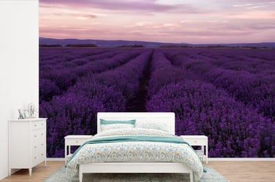 Behang - Fotobehang Lavendel - Paars - Bloemen - Natuur - Breedte 450 cm x hoogte 300 cm